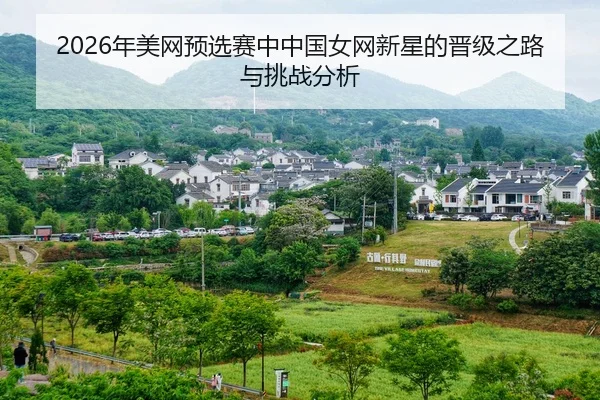 nian-mei-wang-yu-xuan-sai-zhong-zhong-guo-nv-wang-xin-xing-de-jin-ji-zhi-lu-yu-tiao-zhan-fen-xi-2-251.jpg