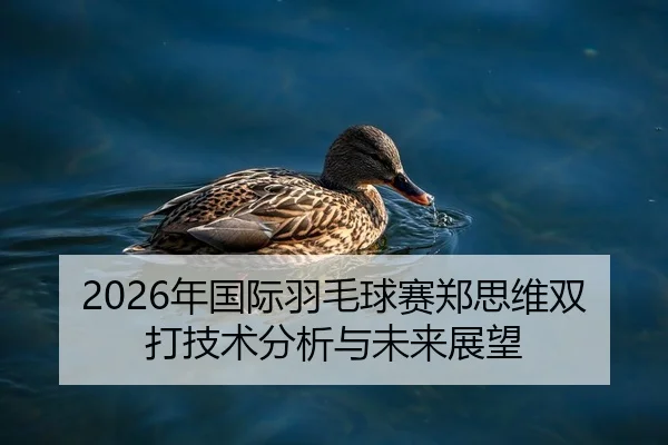 2026年国际羽毛球赛郑思维双打技术分析与未来展望